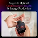 mitoq-heart-advanced-coq10-antioxidant-h-3.jpg