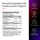 mitoq-heart-advanced-coq10-antioxidant-h-5.jpg