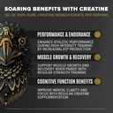 birdman-falcon-performance-vegan-protein-5.jpg