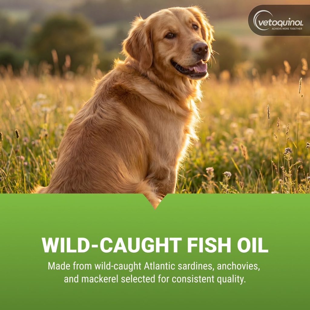 vetoquinol-triglyceride-omega-fish-oil-f-4.jpg