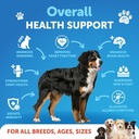 omega-3-fish-oil-for-dogs-better-than-sa-2.jpg