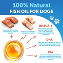 omega-3-fish-oil-for-dogs-better-than-sa-3.jpg