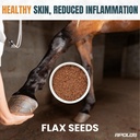greenfit-apolo-s-100-natural-horse-suppl-3.jpg
