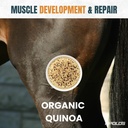 greenfit-apolo-s-100-natural-horse-suppl-5.jpg