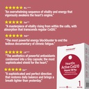 nanowell-hearton-active-coq10-kaneka-ubi-2.jpg