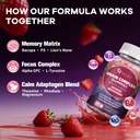 migcopat-nmn-supplement-brain-gummies-bu-4.jpg