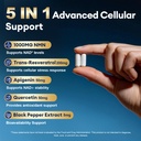 migcopat-men-s-vitality-bundle-multivita-3.jpg