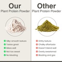 organic-hemp-protein-powder-vegan-plant--3.jpg