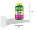 spring-valley-folate-dietary-supplement--6.jpg
