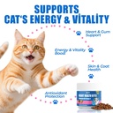 just-try-coenzyme-q10-coq10-bites-for-ca-2.jpg