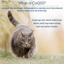 rx-vitamins-coq1030-coenzyme-q10-for-dog-4.jpg