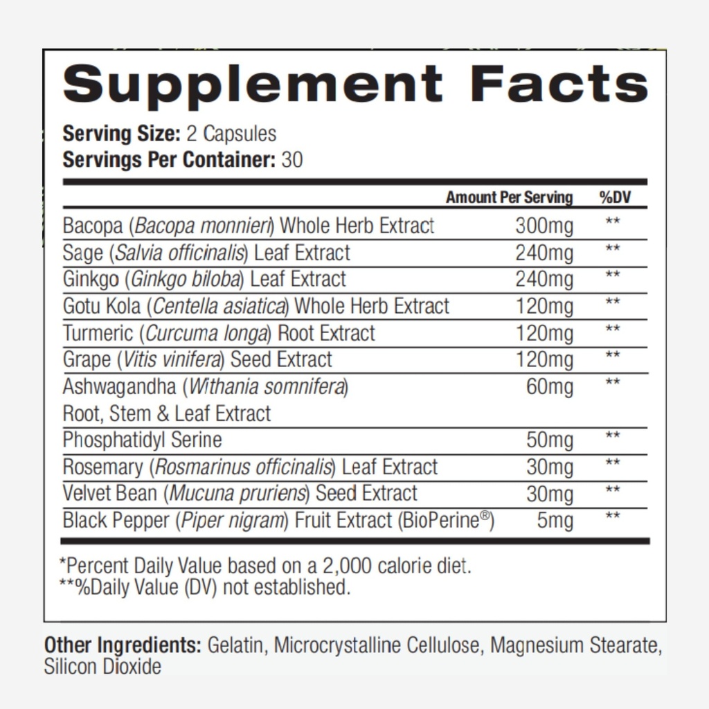 palo-focus-brain-booster-natural-supplem-5.jpg