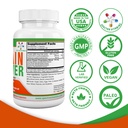 brain-power-supports-focus-nootropics-im-6.jpg