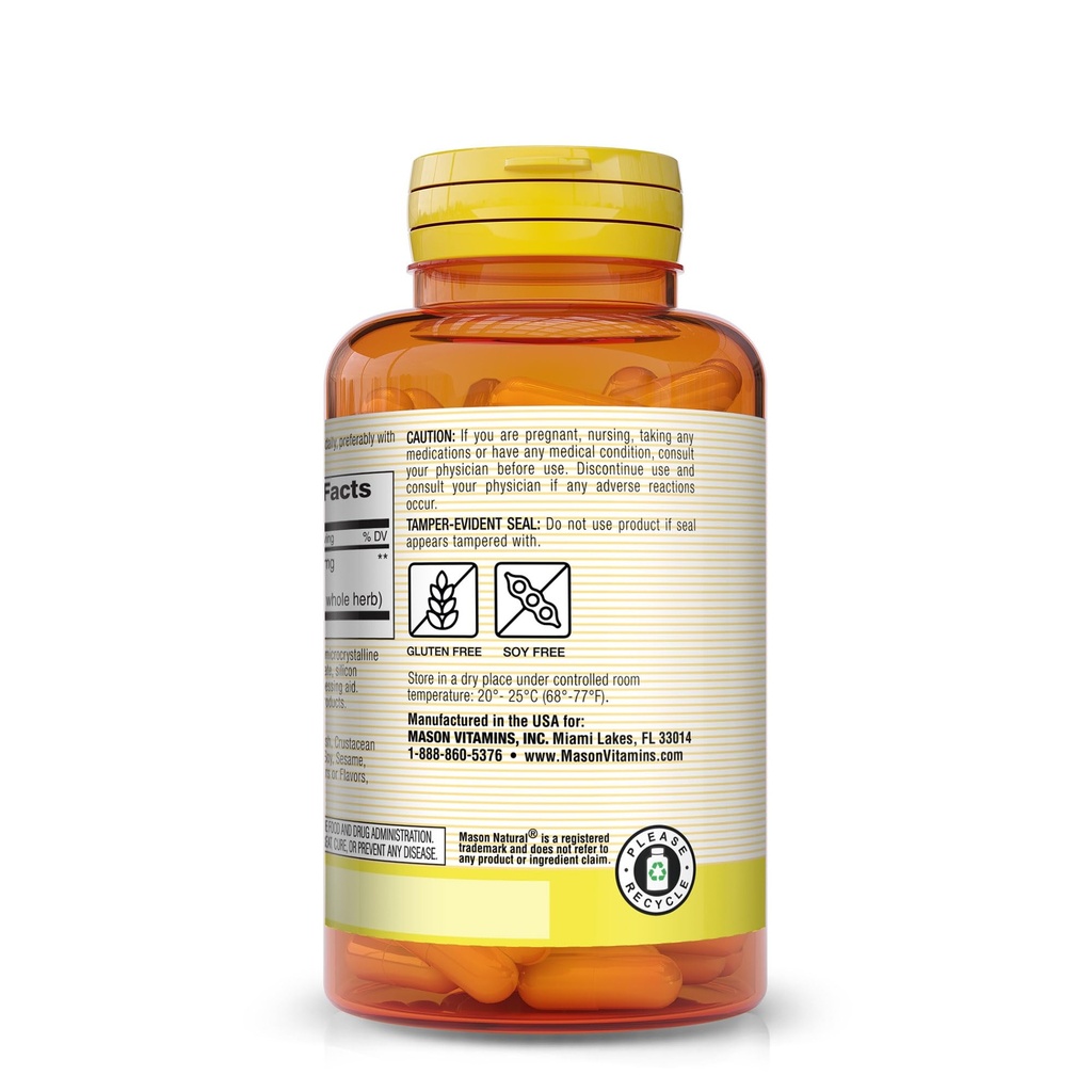 mason-vitamins-gingko-biloba-capsules-90-3.jpg