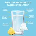 venture-pal-sugar-free-electrolyte-powde-5.jpg