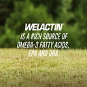 nutramax-welactin-canine-softgels-omega--3.jpg