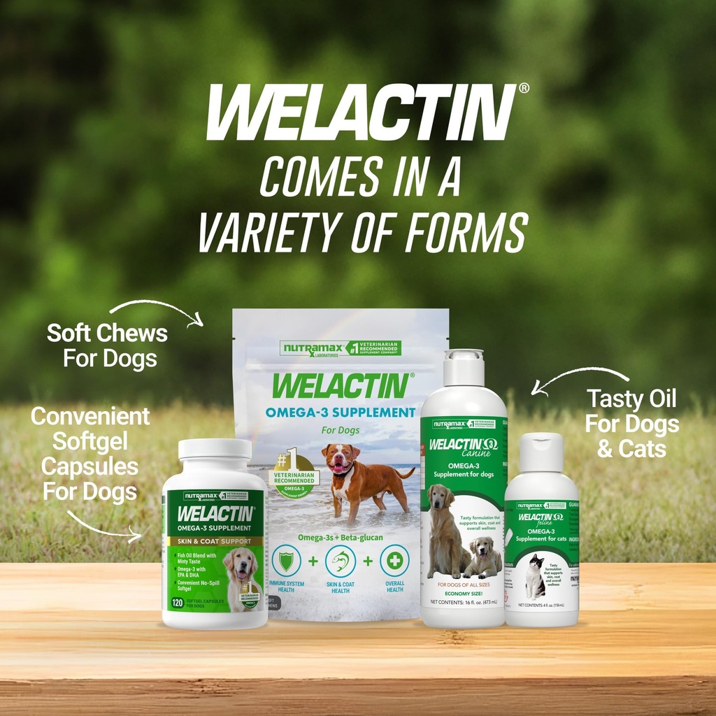 nutramax-welactin-canine-softgels-omega--6.jpg