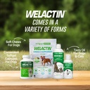 nutramax-welactin-canine-softgels-omega--6.jpg