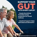 ayush-herbs-trifal-digestive-support-wit-5.jpg