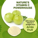 organic-veda-amla-powder-100-pure-green--3.jpg
