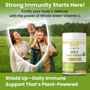 organic-veda-amla-powder-100-pure-green--5.jpg