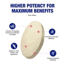 cartilage-ligament-and-tendon-supplement-5.jpg