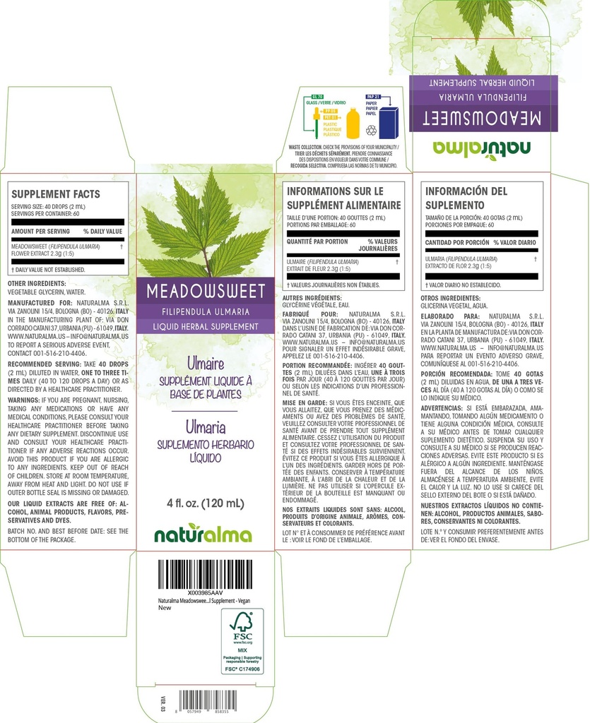 naturalma-meadowsweet-filipendula-ulmari-2.jpg