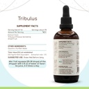 herbera-tribulus-b120-alcohol-free-herba-3.jpg