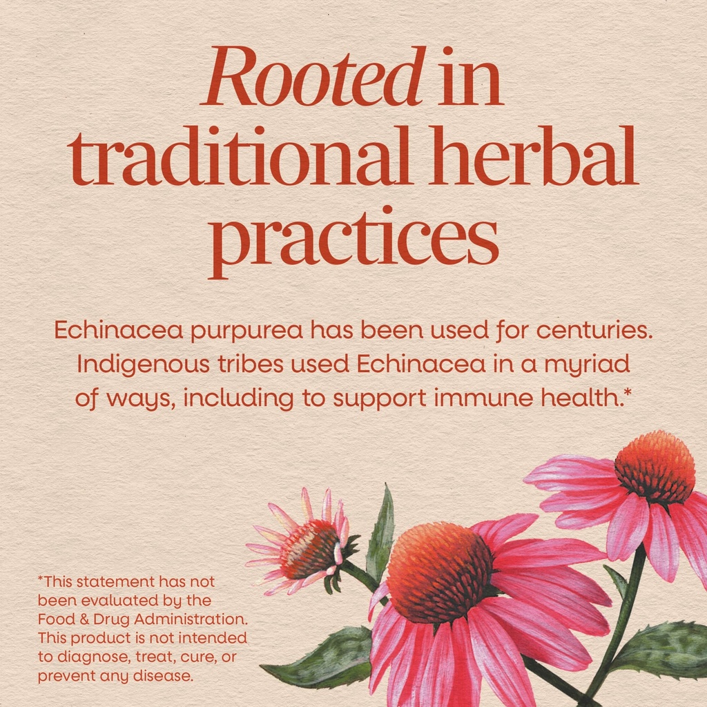 nature-s-way-echinacea-purpurea-herb-tra-3.jpg