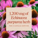 nature-s-way-echinacea-purpurea-herb-tra-4.jpg