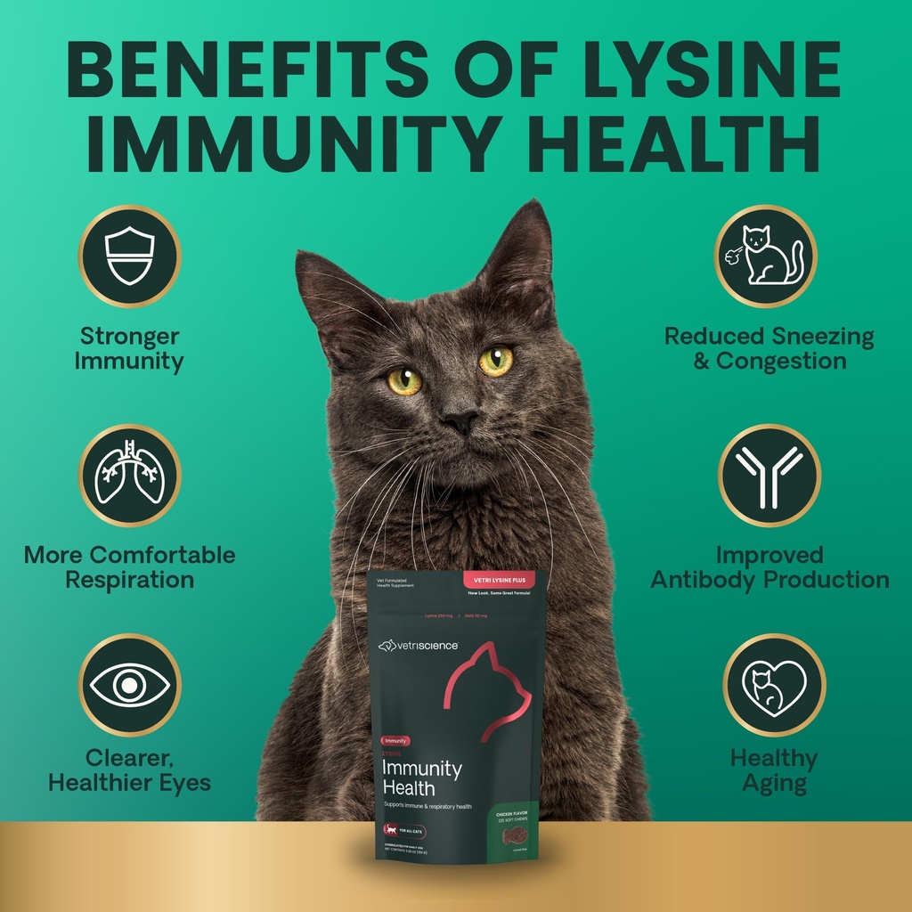 vetriscience-lysine-immunity-health-chew-4.jpg