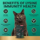 vetriscience-lysine-immunity-health-chew-4.jpg