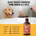 cat-dog-urinary-tract-infection-treatmen-6.jpg