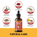 cat-dog-urinary-tract-infection-treatmen-3.jpg