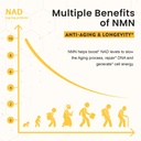 sublingual-nmn-500mg-max-absorbency-fast-2.jpg