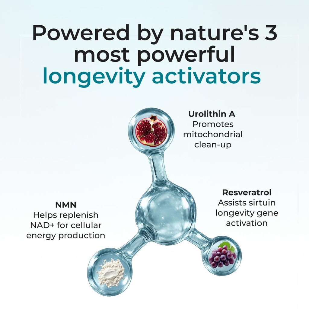 purehealth-research-cellular-longevity-c-4.jpg