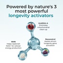 purehealth-research-cellular-longevity-c-4.jpg