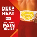 thermacare-advanced-back-hip-heat-wraps--2.jpg