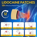 4-lidocaine-pain-relief-patches-large-30-3.jpg