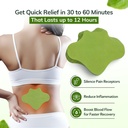 flexiback-warming-herbal-back-pain-patch-4.jpg