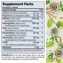 andrew-lessman-night-time-30-capsules-3m-2.jpg
