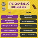 odd-balls-organic-energy-balls-lemon-mus-5.jpg
