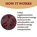 coq10-300mg-120-capsules-high-absorption-4.jpg