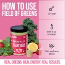 brickhouse-nutrition-field-of-greens-sup-4.jpg