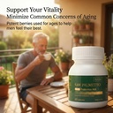 saw-palmetto-extract-with-akk-probiotics-4.jpg