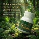 saw-palmetto-extract-with-akk-probiotics-2.jpg