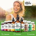 wild-organic-saw-palmetto-for-men-women--5.jpg