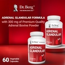 dr-berg-adrenal-glandular-hormone-balanc-4.jpg