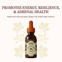 herbs-etc-adrenotonic-classic-liquid-ext-2.jpg