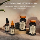 herbs-etc-adrenotonic-classic-liquid-ext-4.jpg